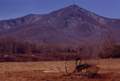 Peaks of Otter from the Montvale, Virginia side 